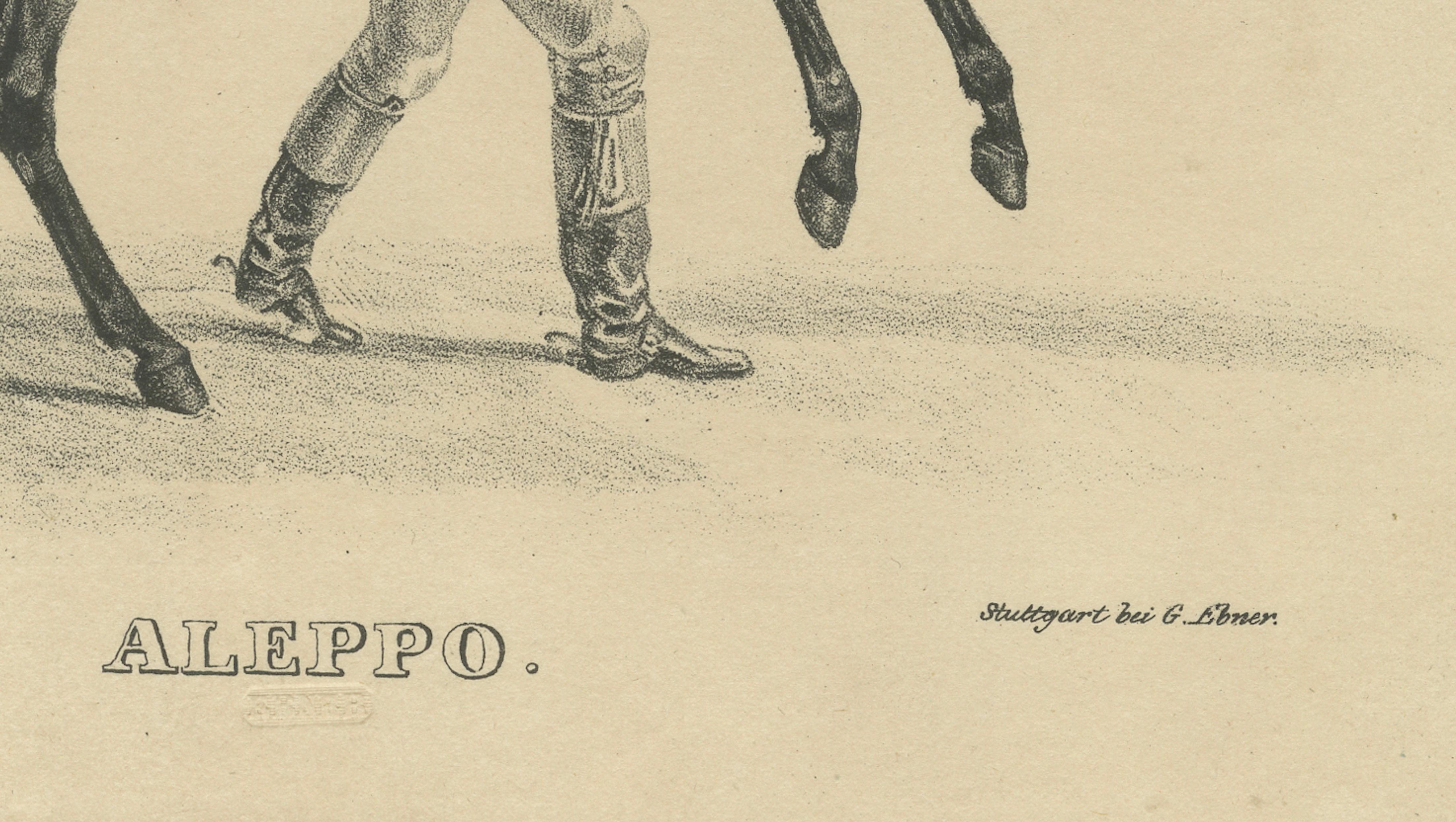 Antique Arabian Horse Lithograph “Aleppo” by August Jäger, 1846