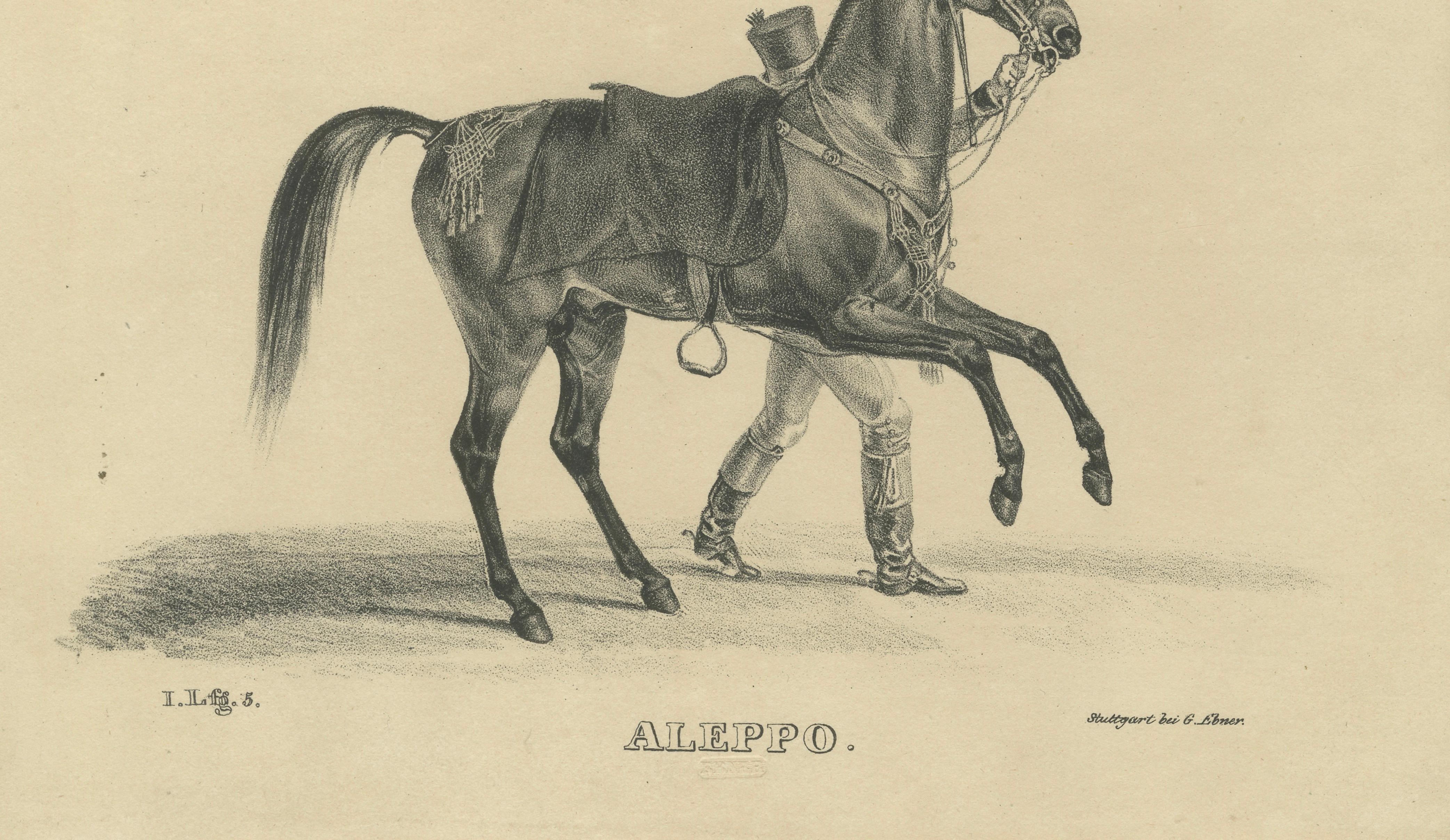 Antique Arabian Horse Lithograph “Aleppo” by August Jäger, 1846