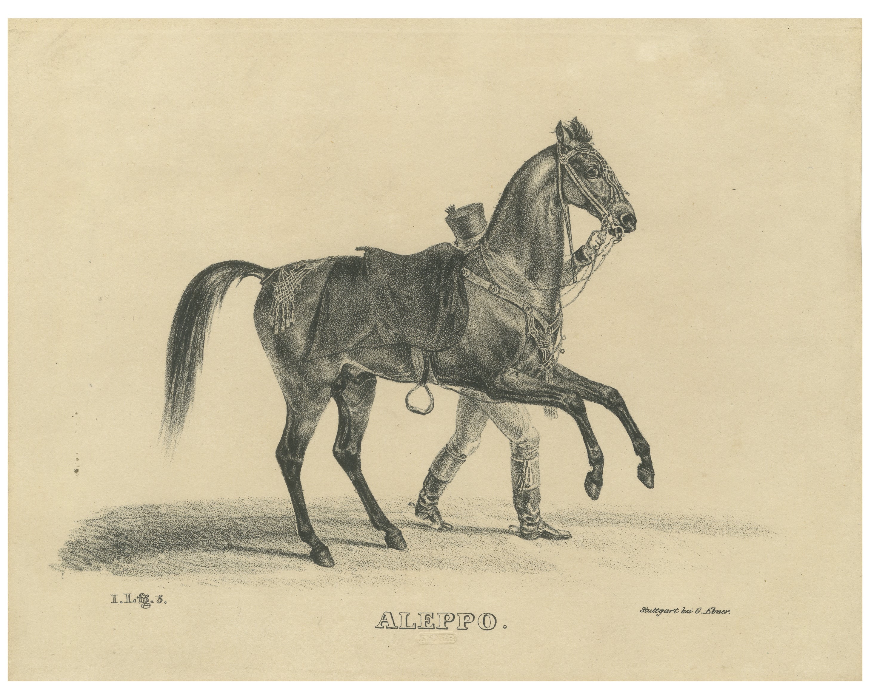 Antike Araberpferd-Lithographie "Aleppo" von August Jäger, 1846 im Angebot