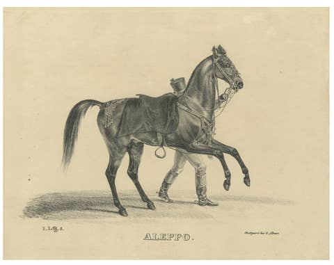Antique Arabian Horse Lithograph “Aleppo” by August Jäger, 1846
