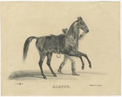 Antique Arabian Horse Lithograph “Aleppo” by August Jäger, 1846