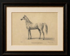 Antique Arabian Horse Lithograph “Bairaktar” by August Jäger, 1846