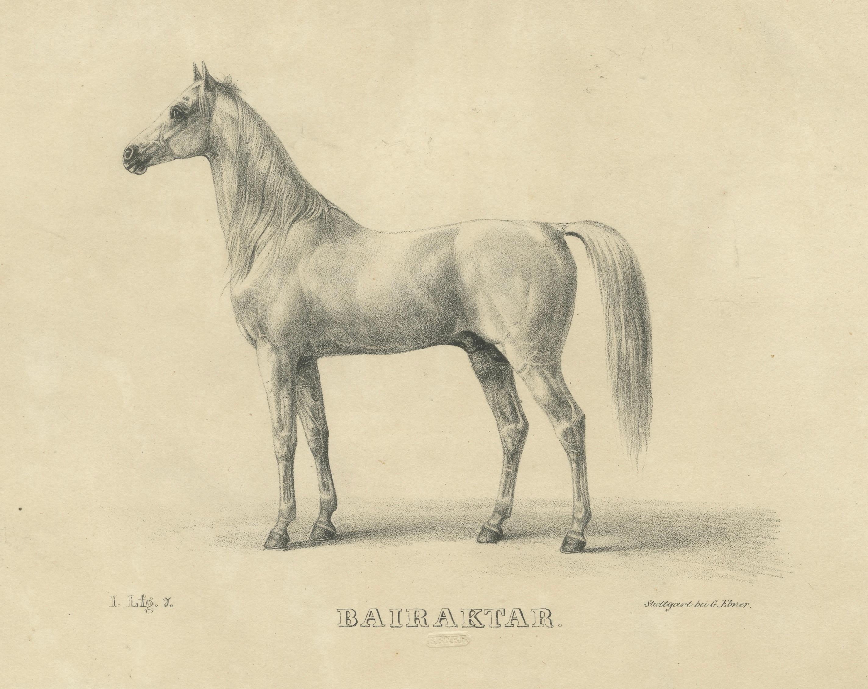 Antique Arabian Horse Lithograph “Bairaktar” by August Jäger, 1846