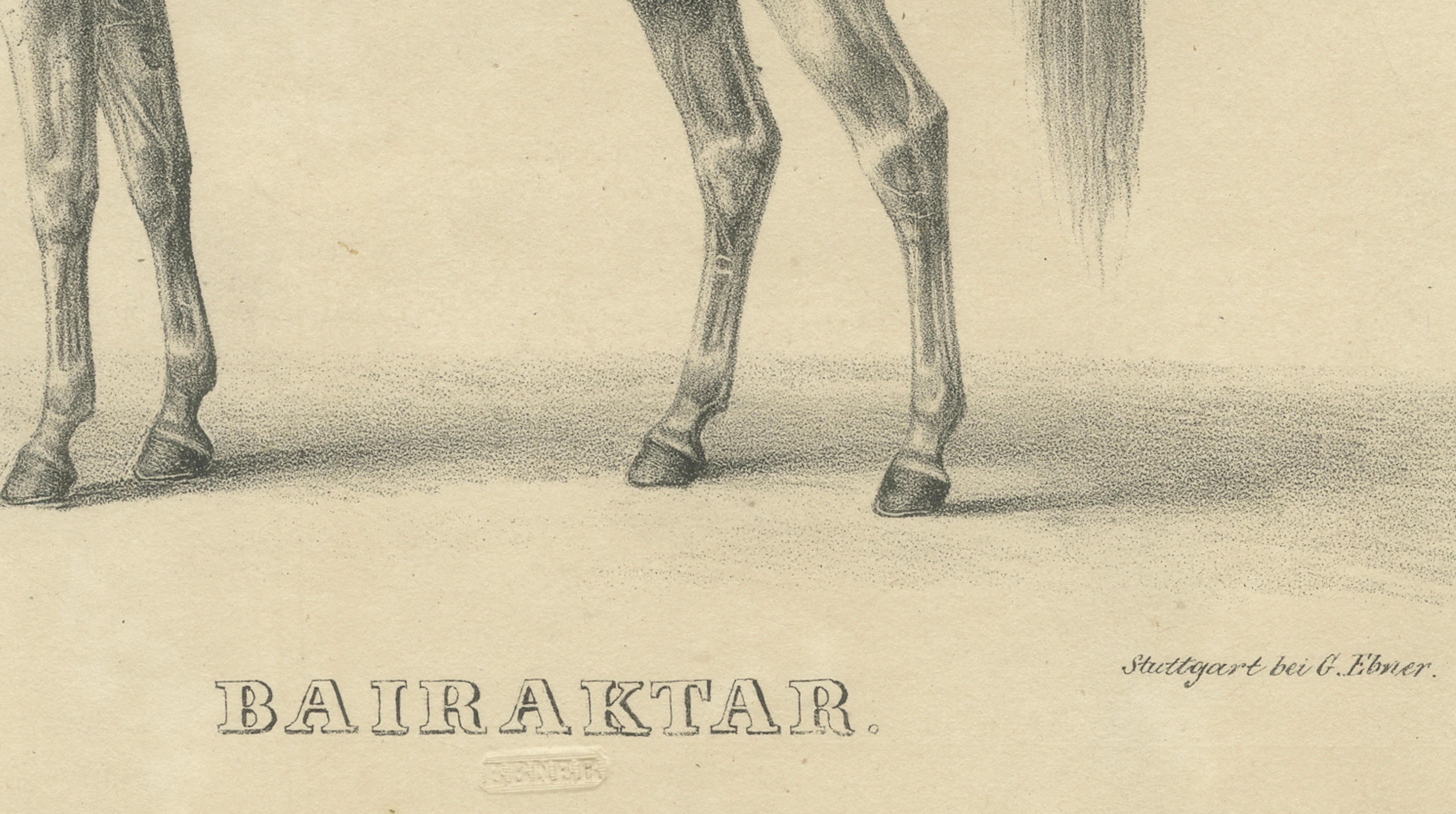 Antique Arabian Horse Lithograph “Bairaktar” by August Jäger, 1846