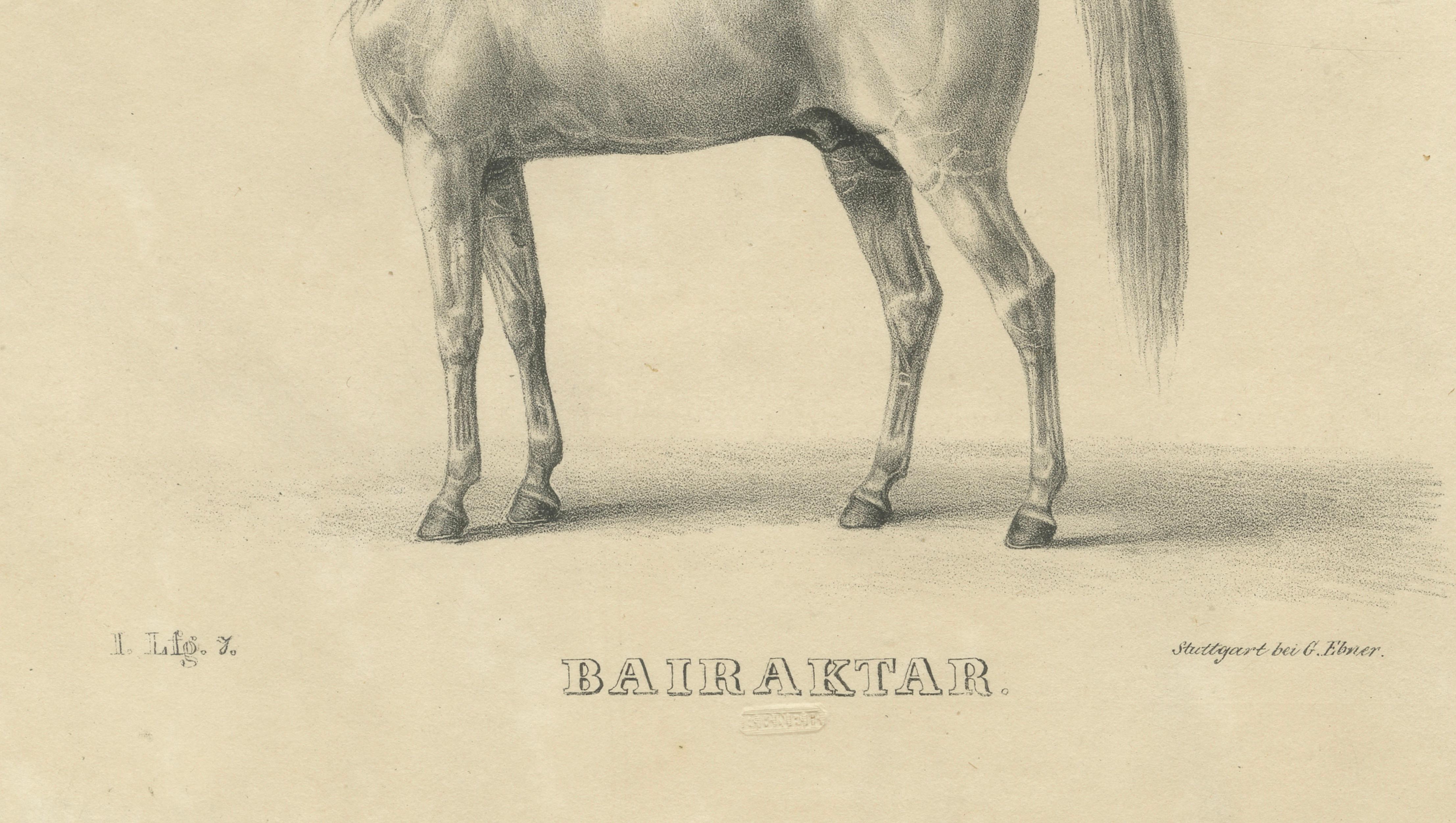 Antique Arabian Horse Lithograph “Bairaktar” by August Jäger, 1846