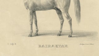 Antique Arabian Horse Lithograph “Bairaktar” by August Jäger, 1846, view 7