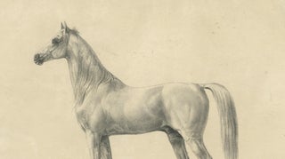 Antique Arabian Horse Lithograph “Bairaktar” by August Jäger, 1846, view 8