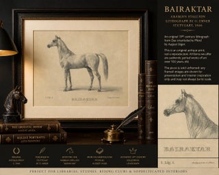 Antique Arabian Horse Lithograph “Bairaktar” by August Jäger, 1846, view 9