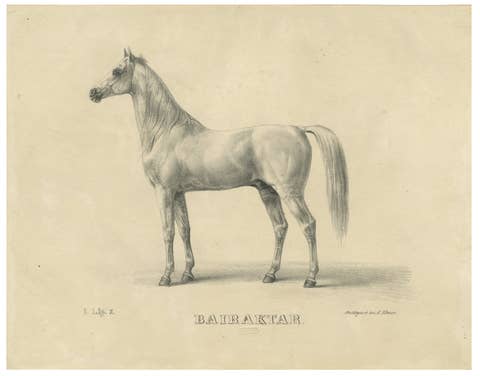 Antique Arabian Horse Lithograph “Bairaktar” by August Jäger, 1846