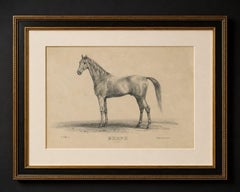 Antique Arabian Horse Lithograph “Burnu” by August Jäger, 1846