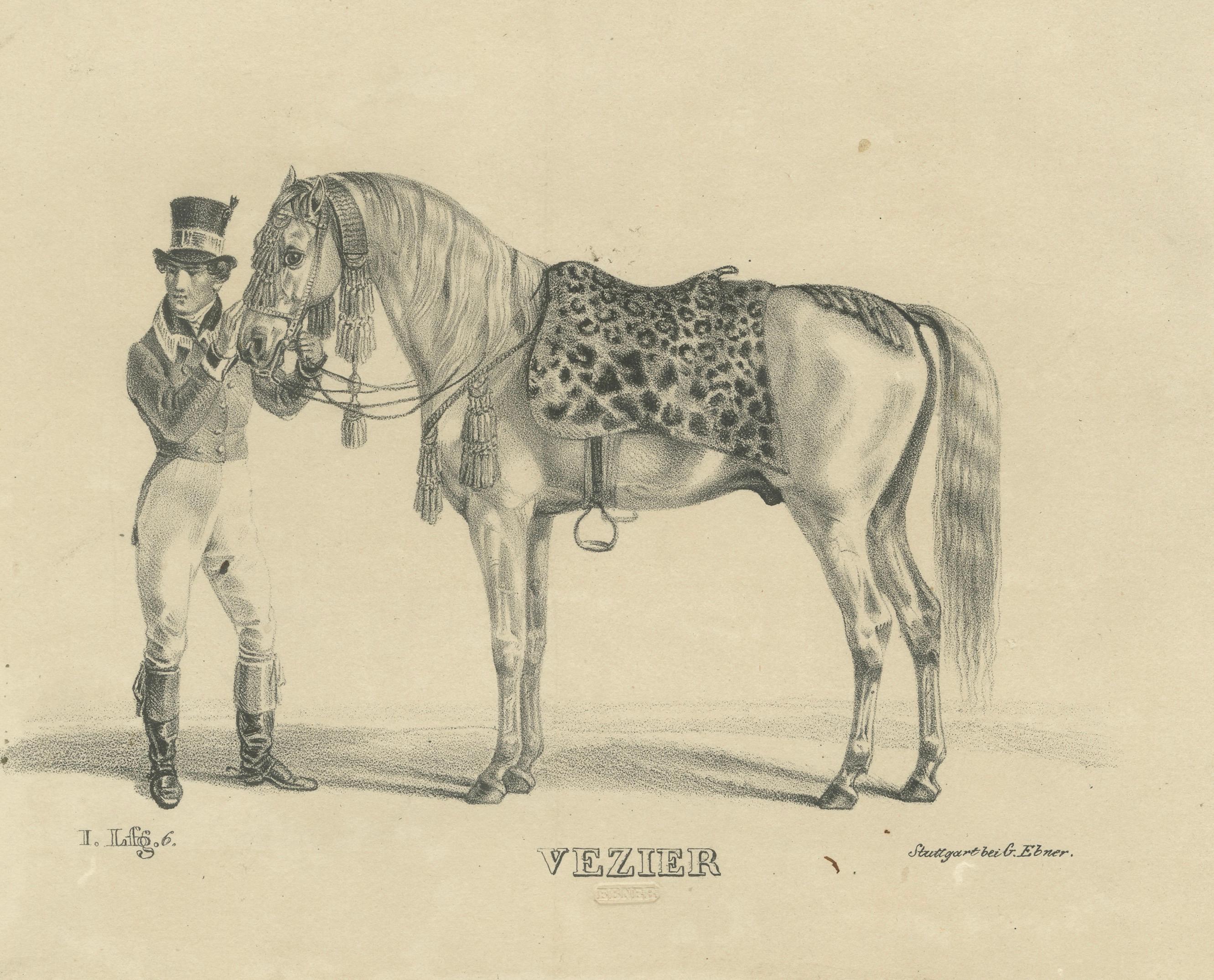 Antique Arabian Horse Lithograph “Vezier” with Groom, Stuttgart 1846