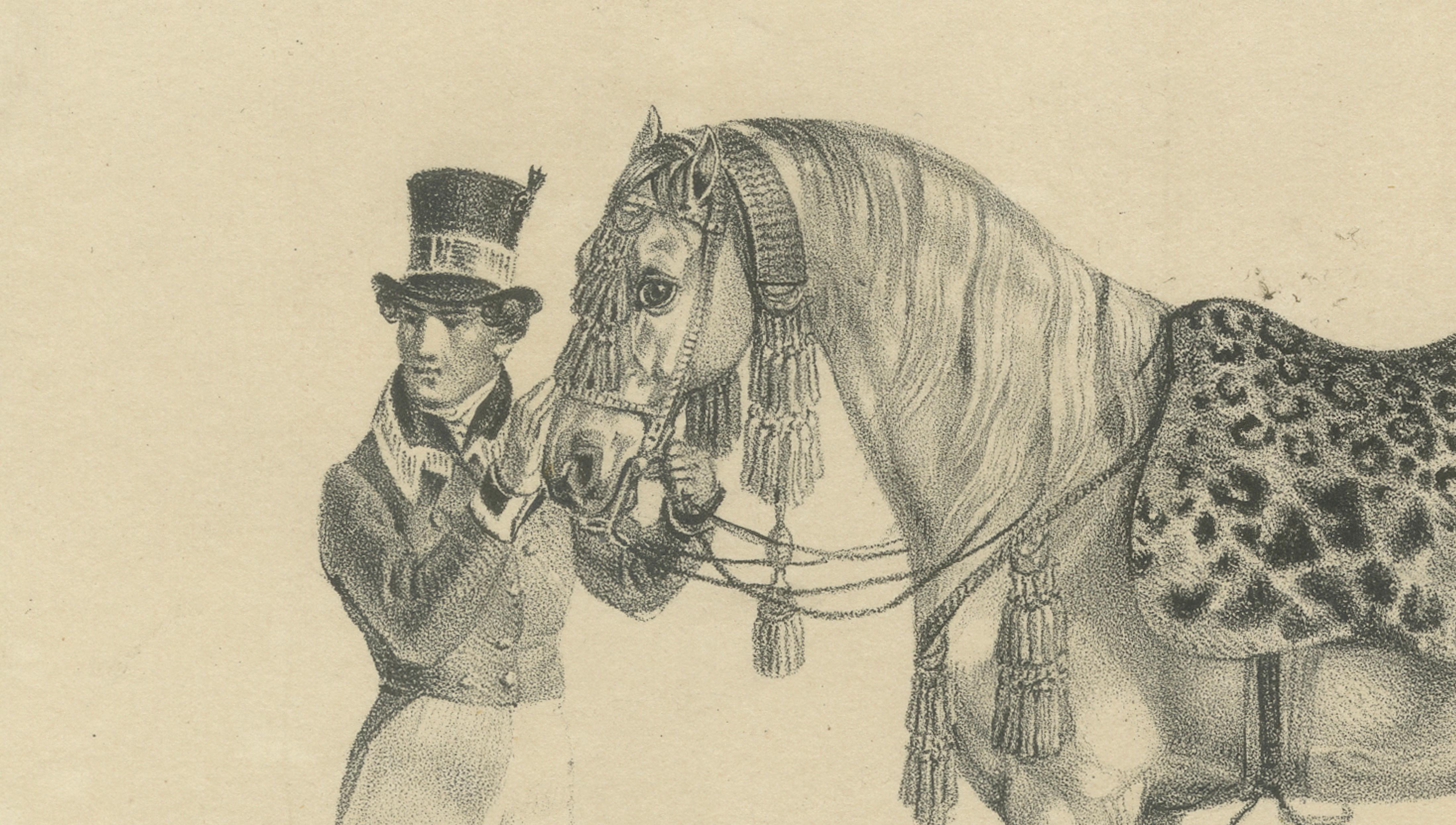 Antique Arabian Horse Lithograph “Vezier” with Groom, Stuttgart 1846