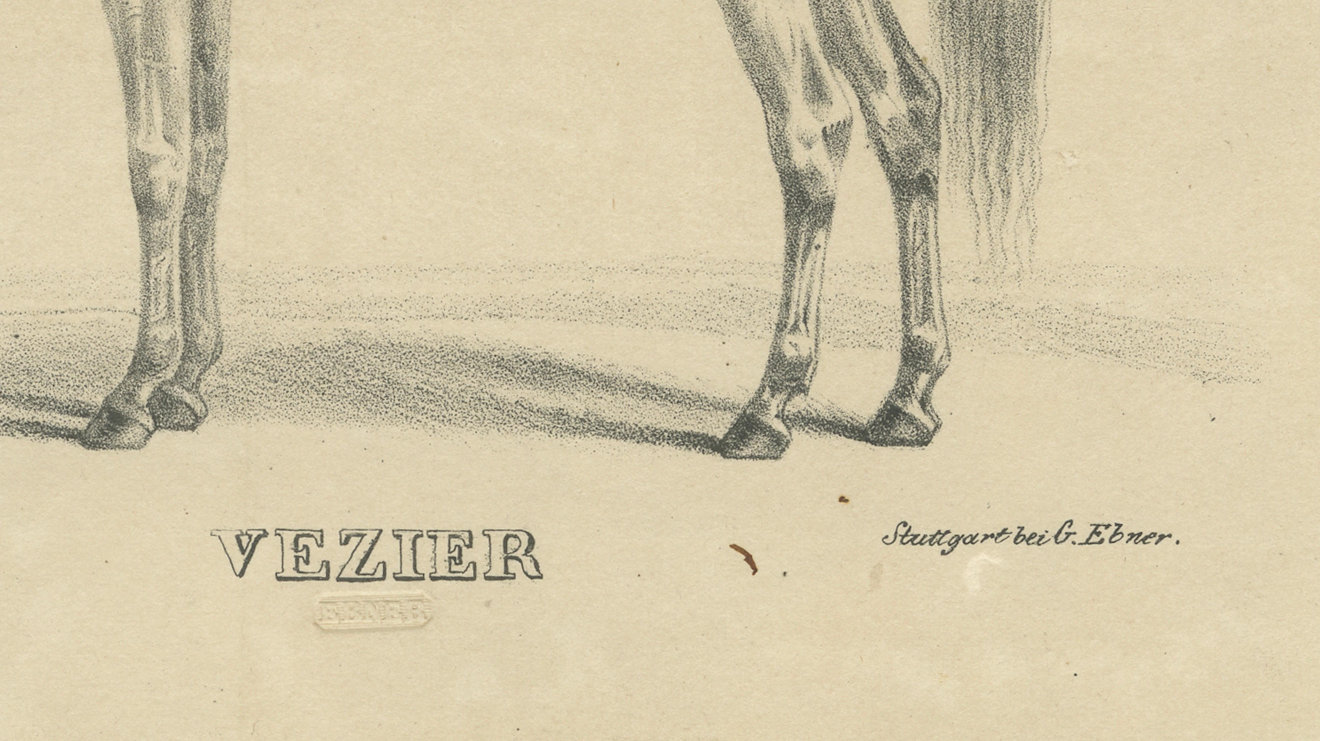 Antique Arabian Horse Lithograph “Vezier” with Groom, Stuttgart 1846