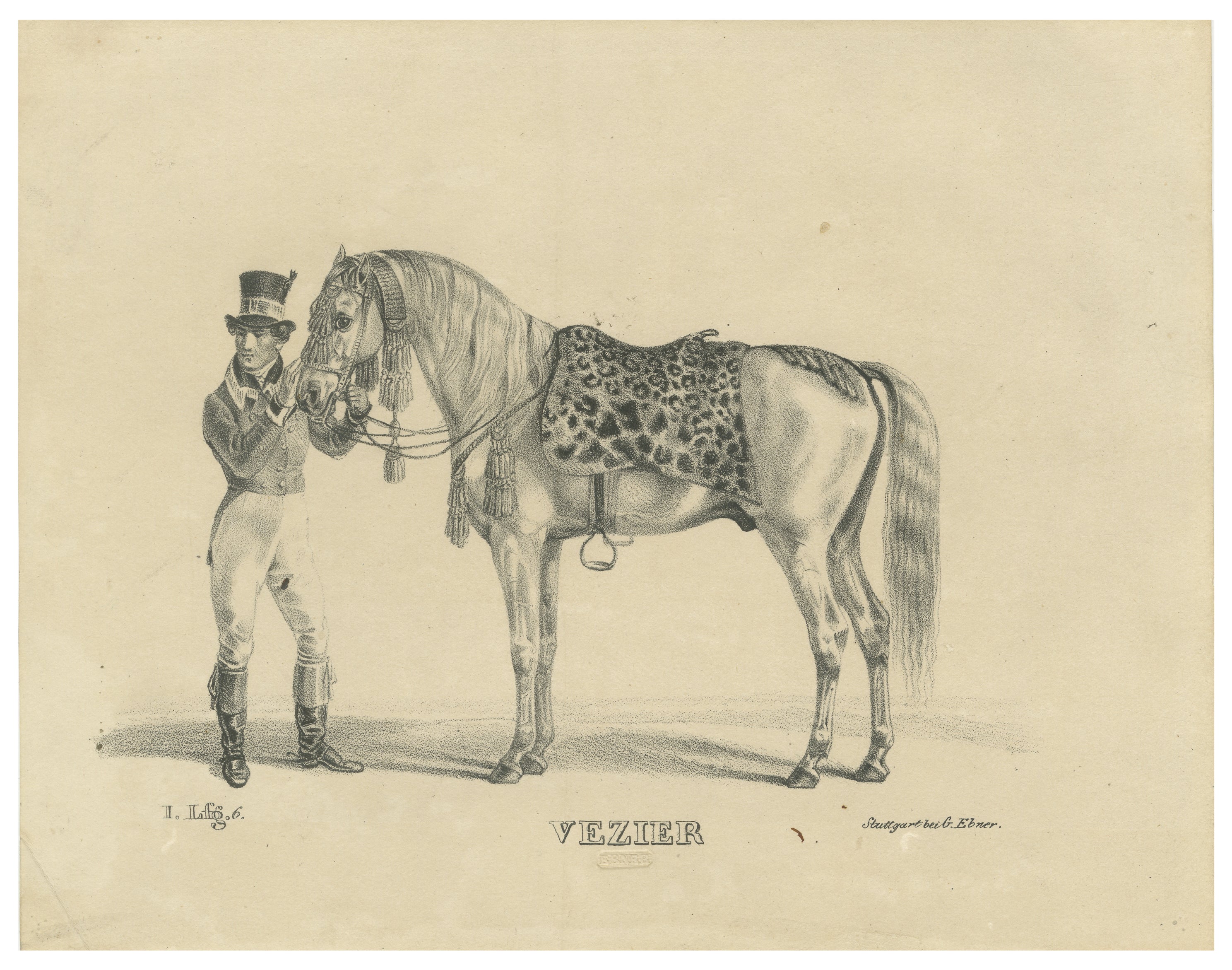 Antique Arabian Horse Lithograph “Vezier” with Groom, Stuttgart 1846