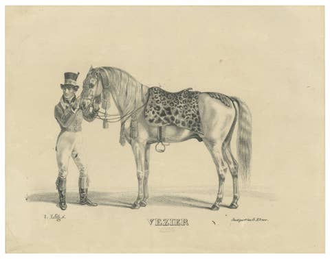 Antique Arabian Horse Lithograph “Vezier” with Groom, Stuttgart 1846