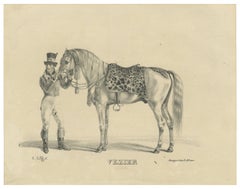 Antique Arabian Horse Lithograph “Vezier” with Groom, Stuttgart 1846