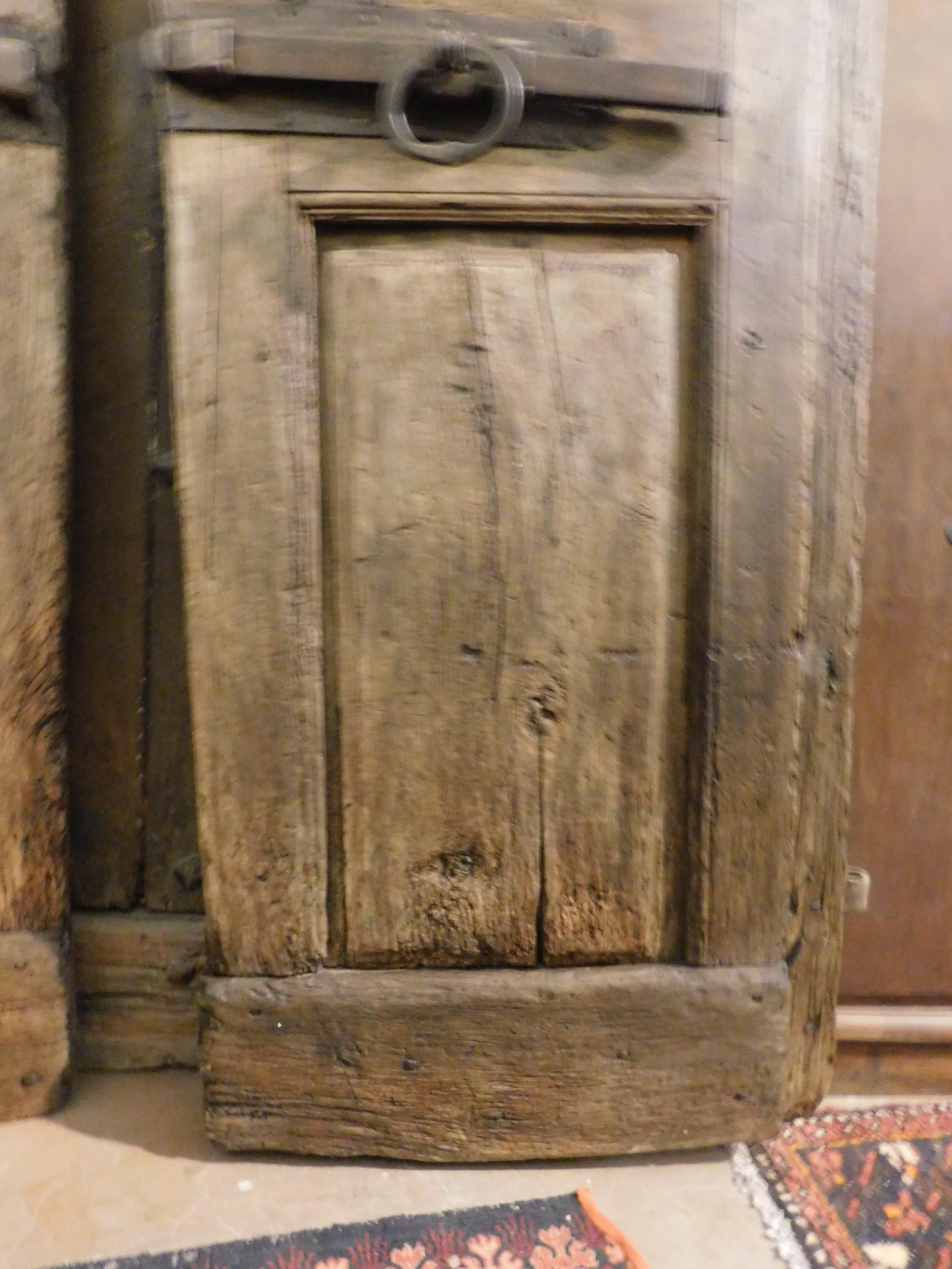 Antike gewölbte Tür aus Nussbaumholz, geschnitzt im 18. Jahrhundert, Italien (Walnuss) im Angebot