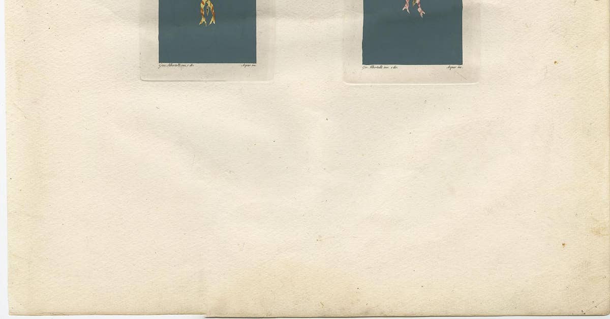 Antique Architecture Print of Ornaments ‘Belle Arti & Scienze’ by Albertolli