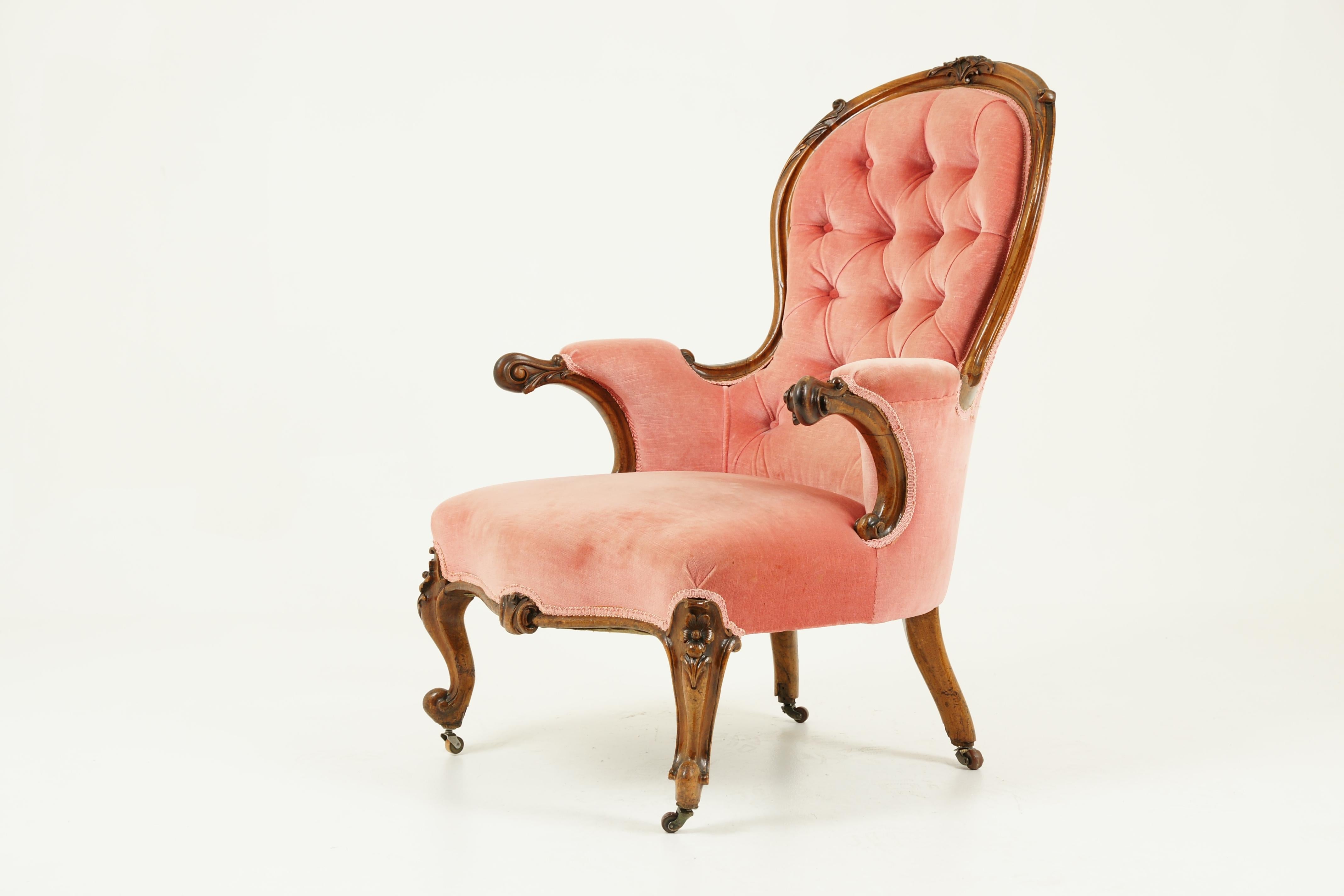Late 19th Century Antique Arm Chair, Button Back Chair, Walnut, Victorian, Scotland, 1870, B1565