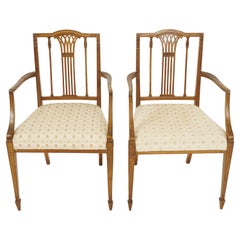 Antique Arm Chairs, Sheraton Style, Inlaid Walnut, Scotland 1910, B2570