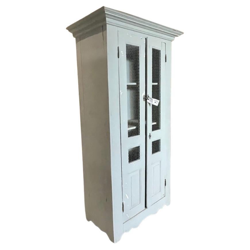Antique Armoire Painted with Mesh Inserts in Doors, FR-0163 For Sale