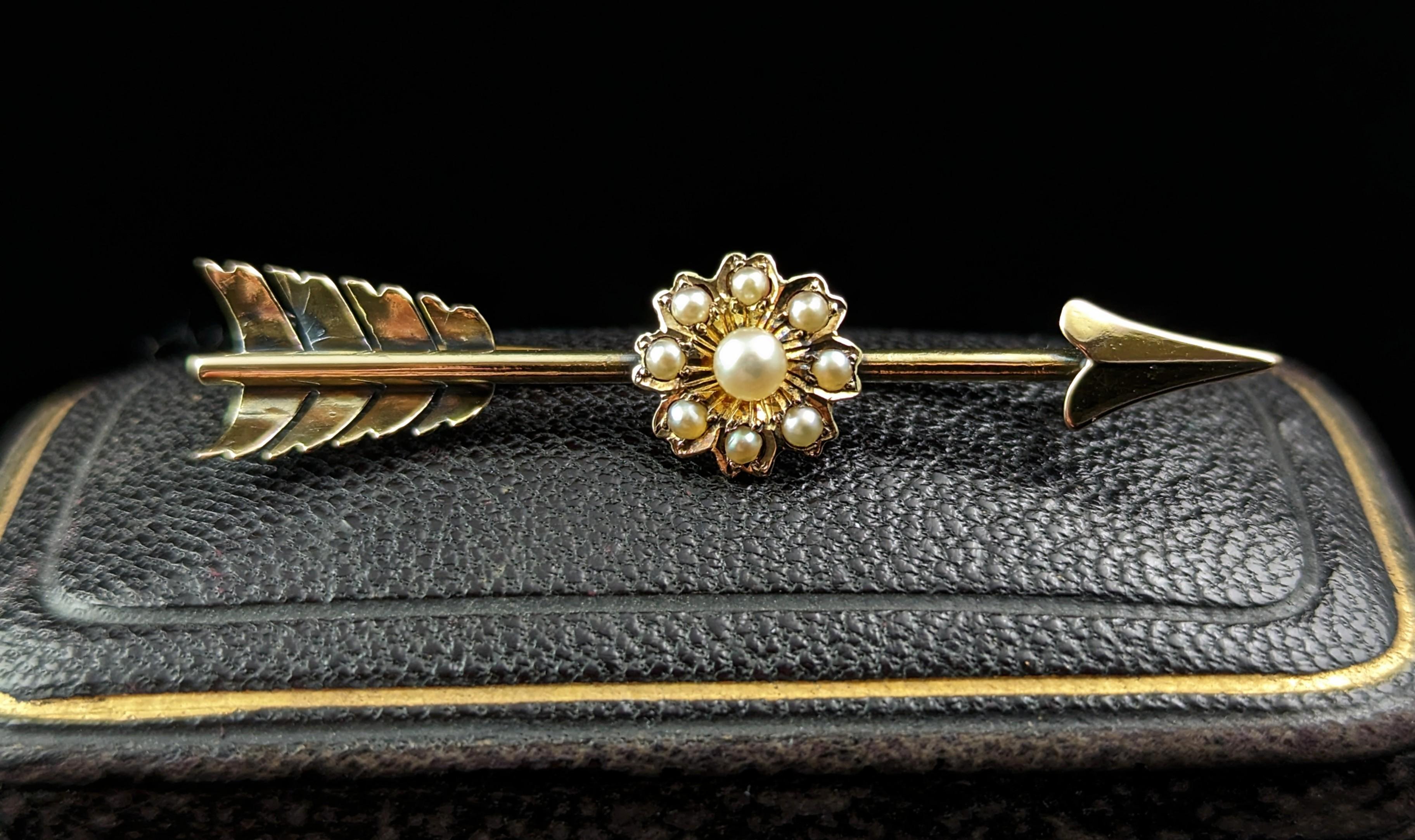 This beautiful antique 9ct gold Arrow and flower brooch is a real charmer! Rich in both symbolism and style you can't go wrong.

A slender feathered arrow with the rich buttery gold hue only found on antique gold, it has a slightly brushed finish