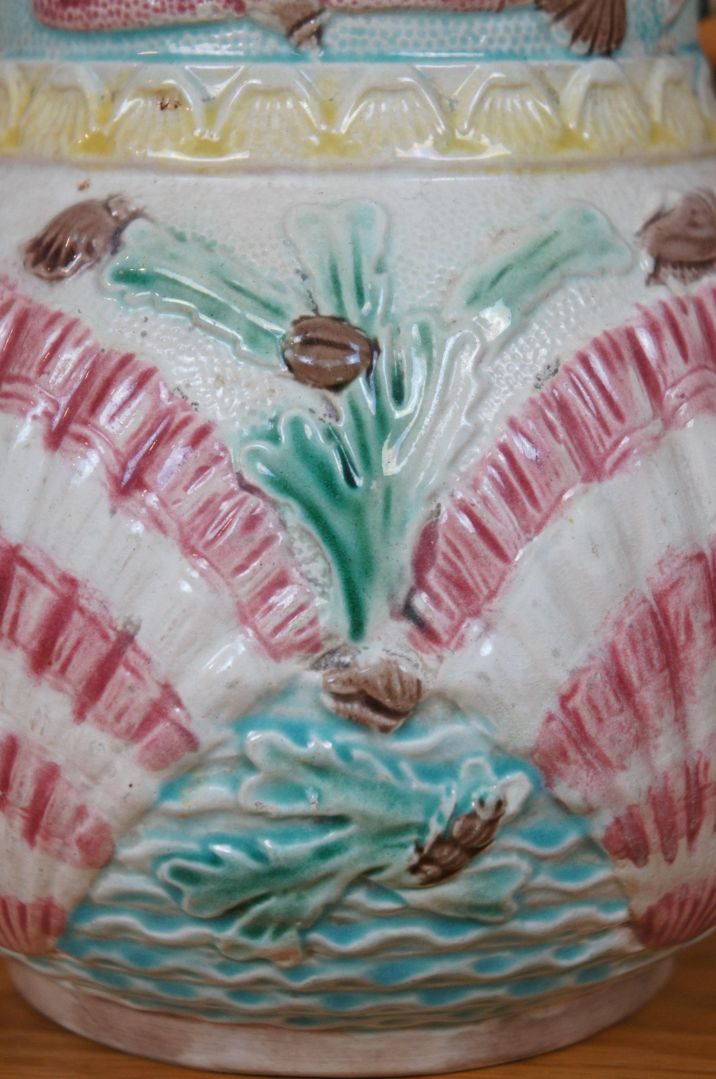 Antike Arsenal Wardle Majolica nautischen Ozean Korallen Muschel Meer Krug 8