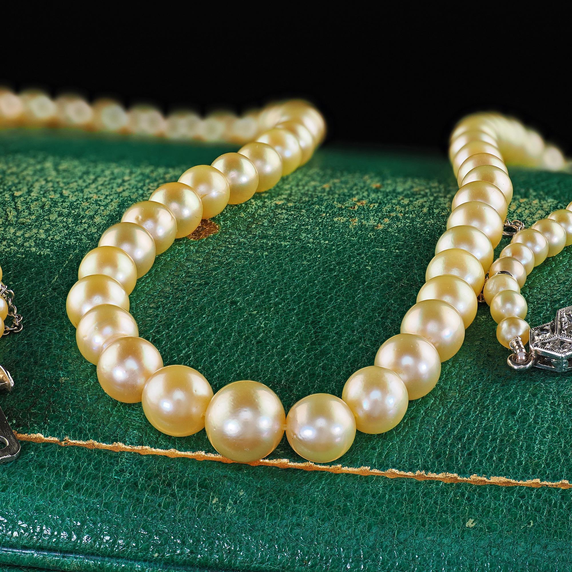 Arte Deco Platinum Saltwater Akoya Graduated Pearl Necklace - GIA en vente 1