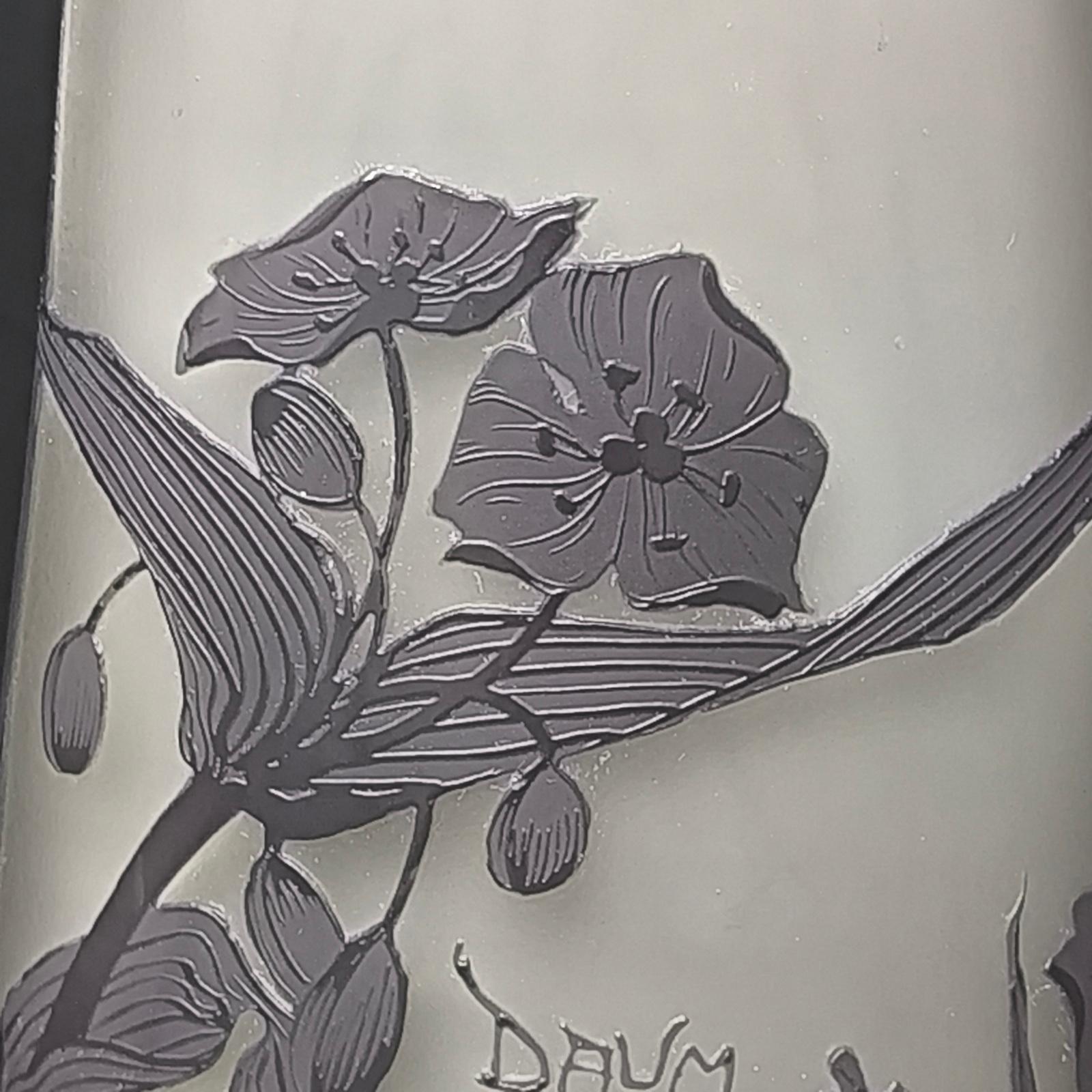 Antico vaso in vetro con cammeo Daum Nancy Art Nouveau in vendita 4