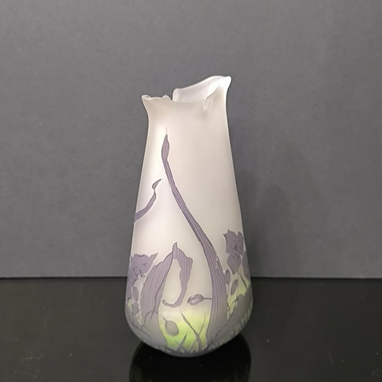Vetro Antico vaso in vetro con cammeo Daum Nancy Art Nouveau in vendita