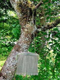Antique  Art Nouveau Evening Bag Silver Mesch Handbag on  Silver Chain