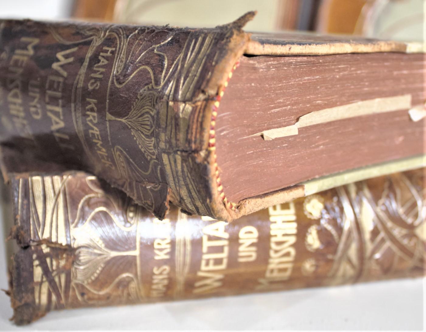 Antique Art Nouveau German Leather Bound Encyclopedia of Scientific Inquiry Set For Sale 13