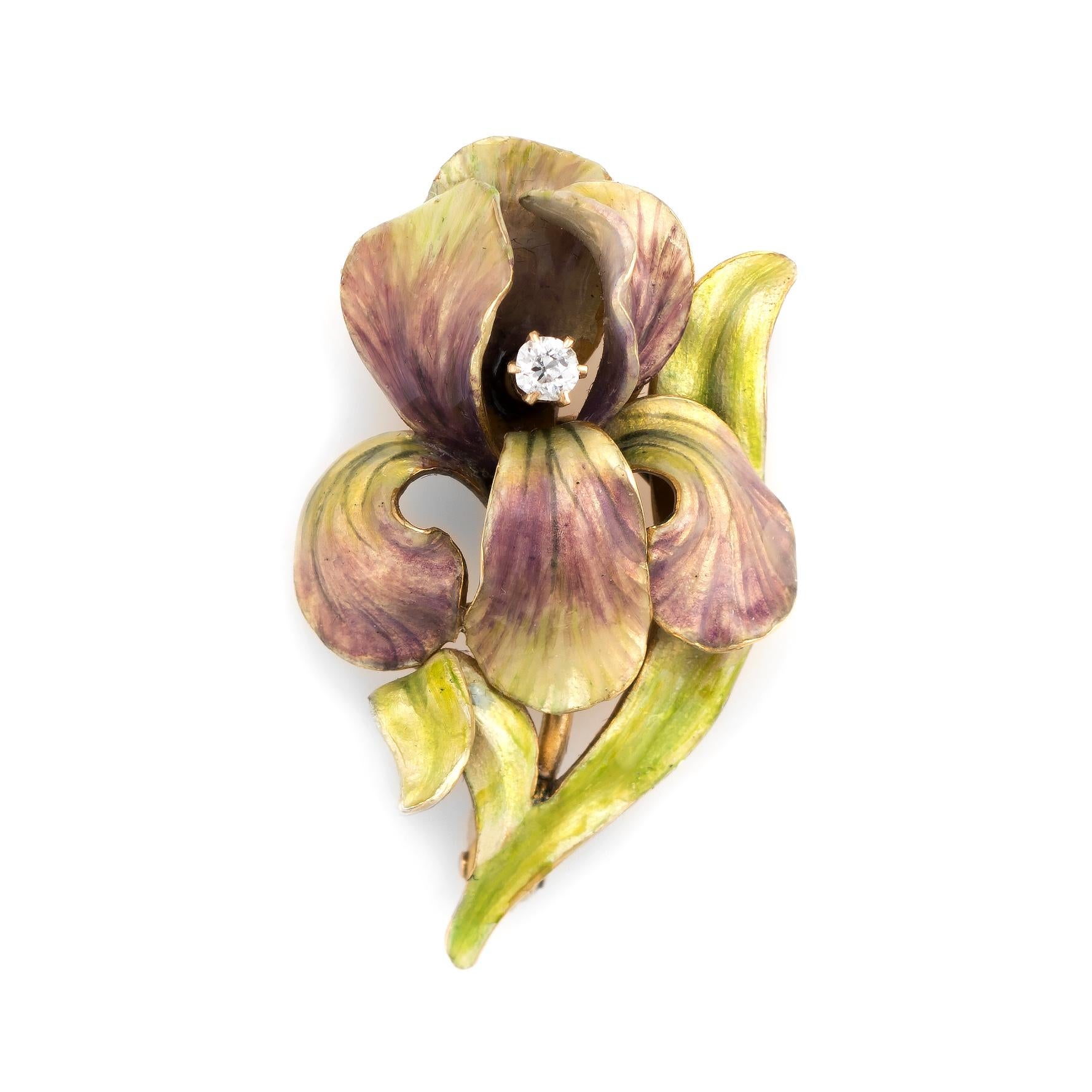 iris brooch