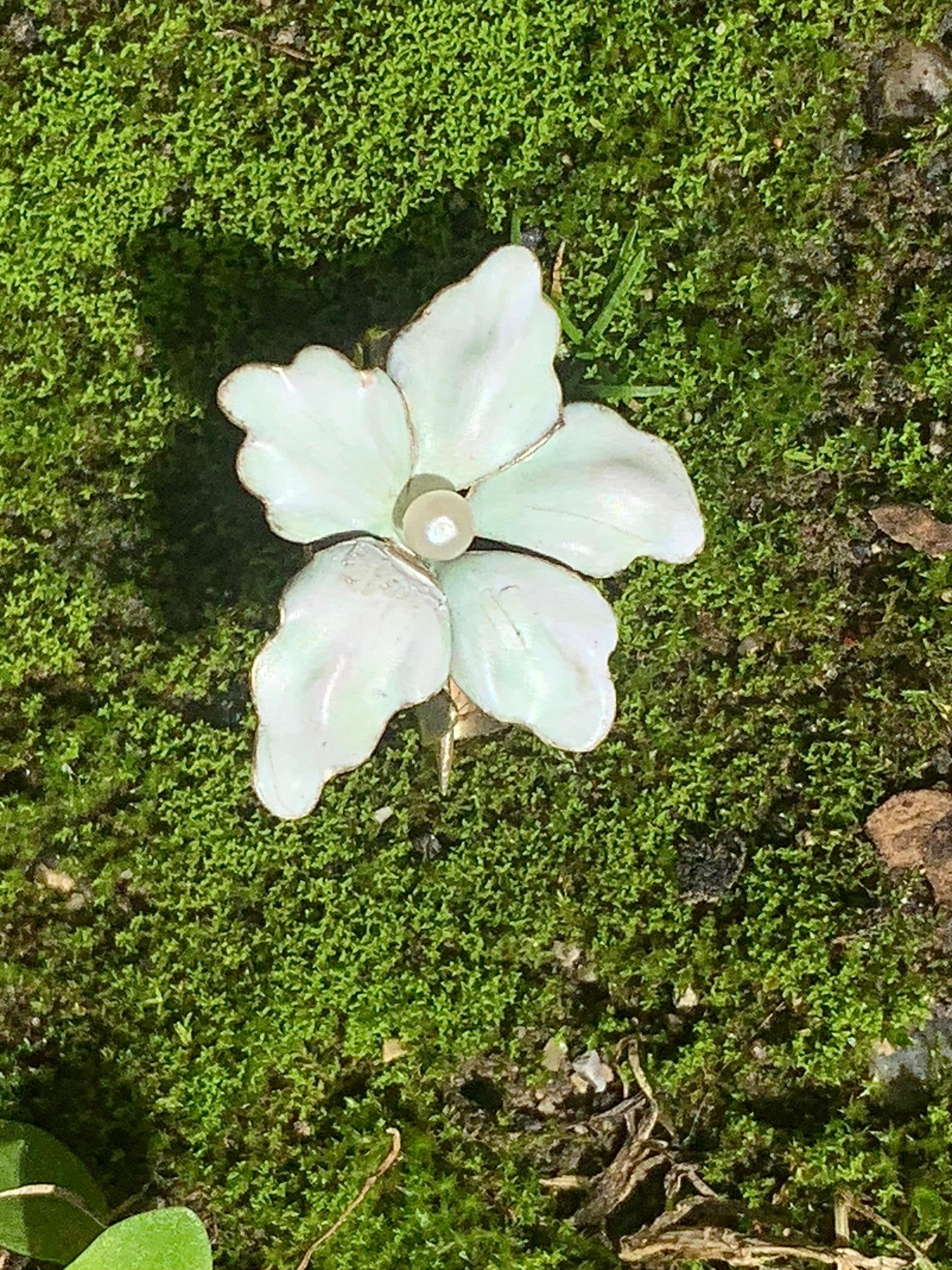 Diese zarte Brosche ist in Form einer Blume, einer kleinen weißen Lilie, gestaltet. Das kleine Juwel wurde um 1900 - 1905 geschaffen und besteht aus 14 Karat Gold. Die Blütenblätter sind mit opak-weißer Emaille überzogen, mit einigen rosafarbenen