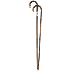 Antique Art Nouveau Silver Handled Walking Stick, Hallmarked, 1900, Austria