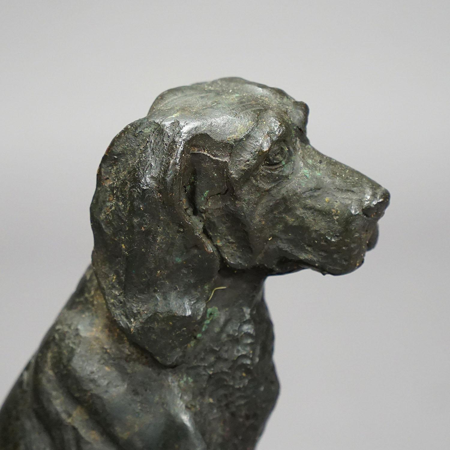 Rustic Antique Artistic Bronze Cast of a Retriever, Germany, circa 1900