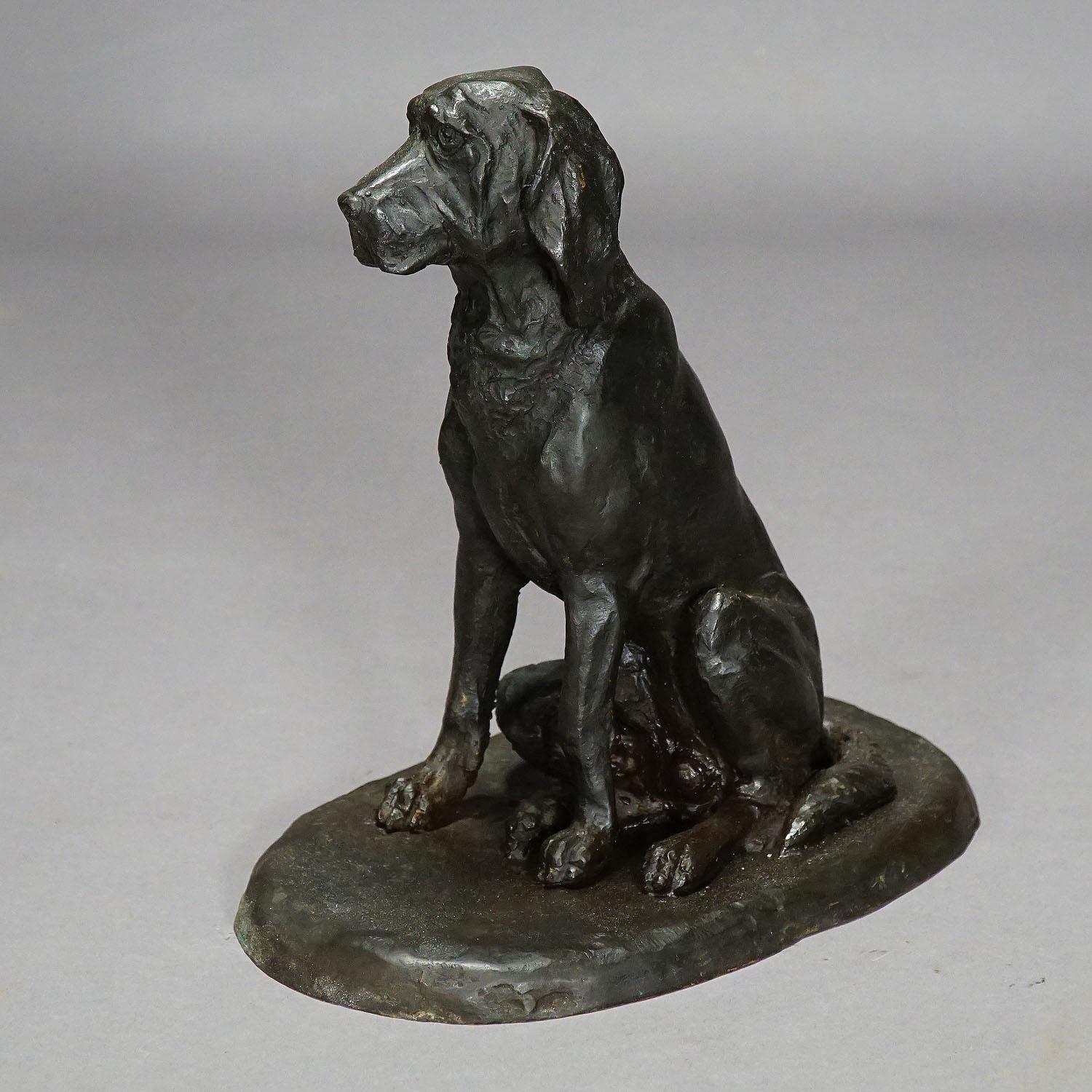20th Century Antique Artistic Bronze Cast of a Retriever, Germany, circa 1900
