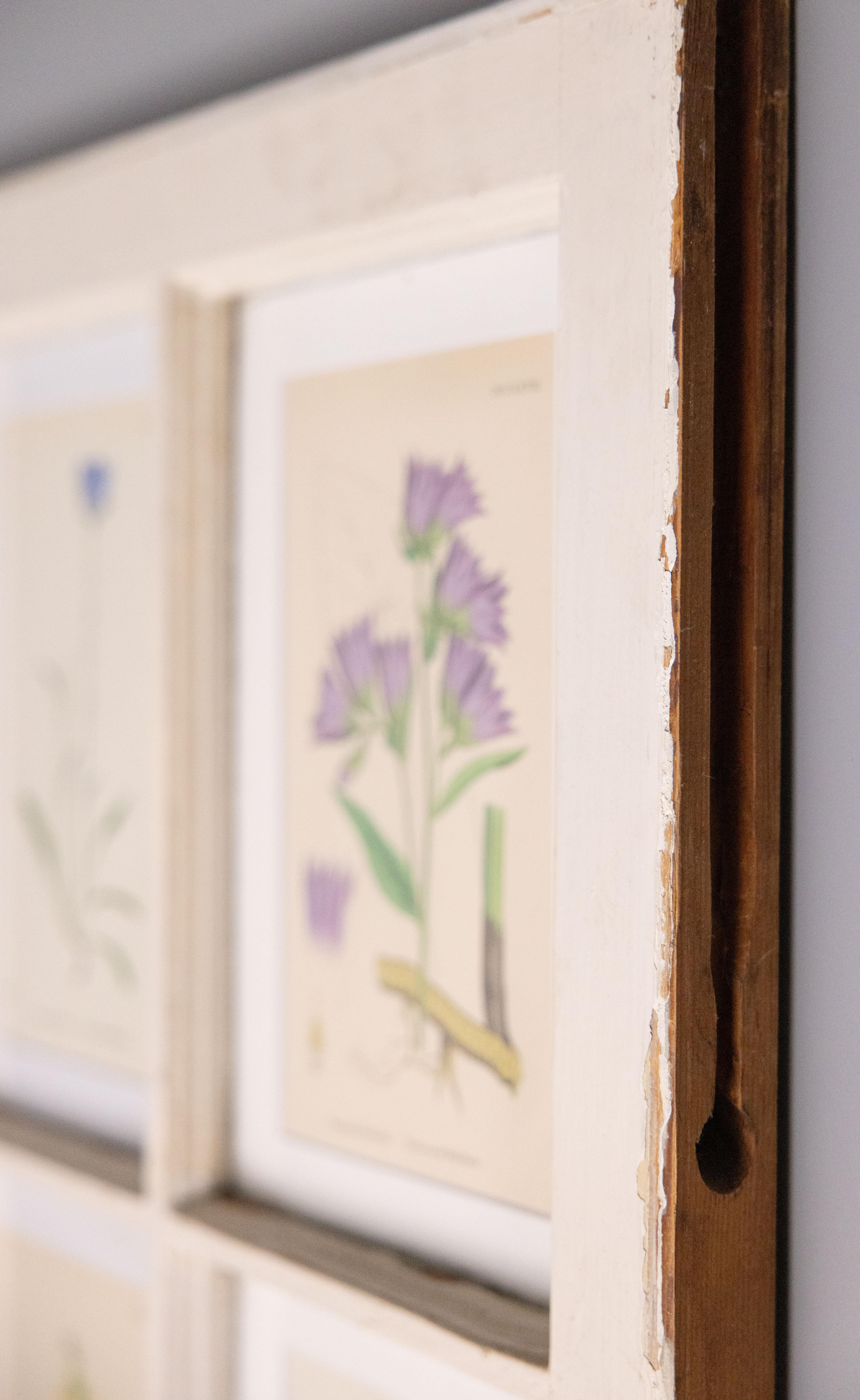 Antike Arts and Crafts-Fensterschärchen mit botanischen Pflanzen aus dem 19. Jahrhundert (Glas) im Angebot