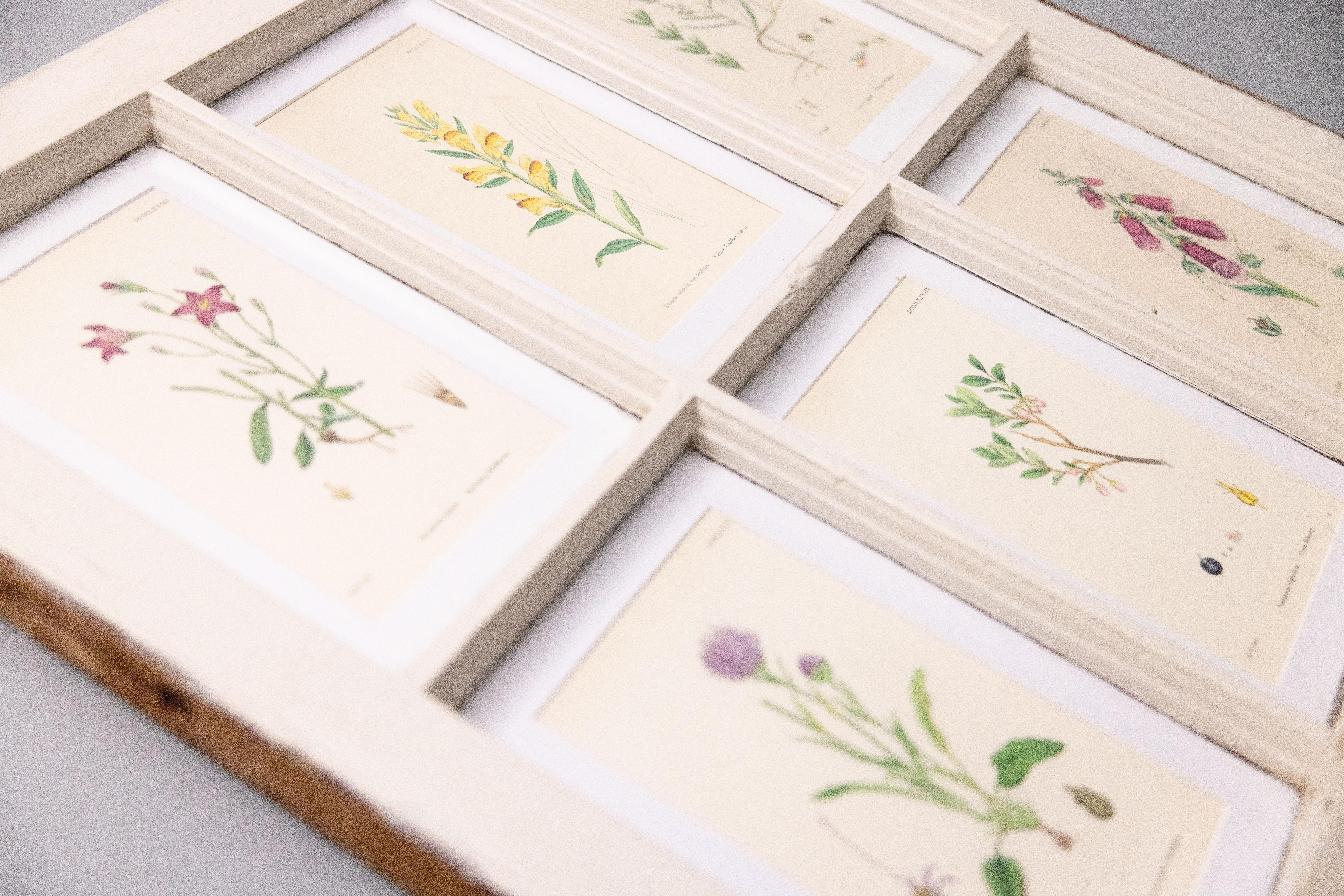 Antike Arts and Crafts-Fensterschärchen mit botanischen Pflanzen aus dem 19. Jahrhundert im Angebot 3