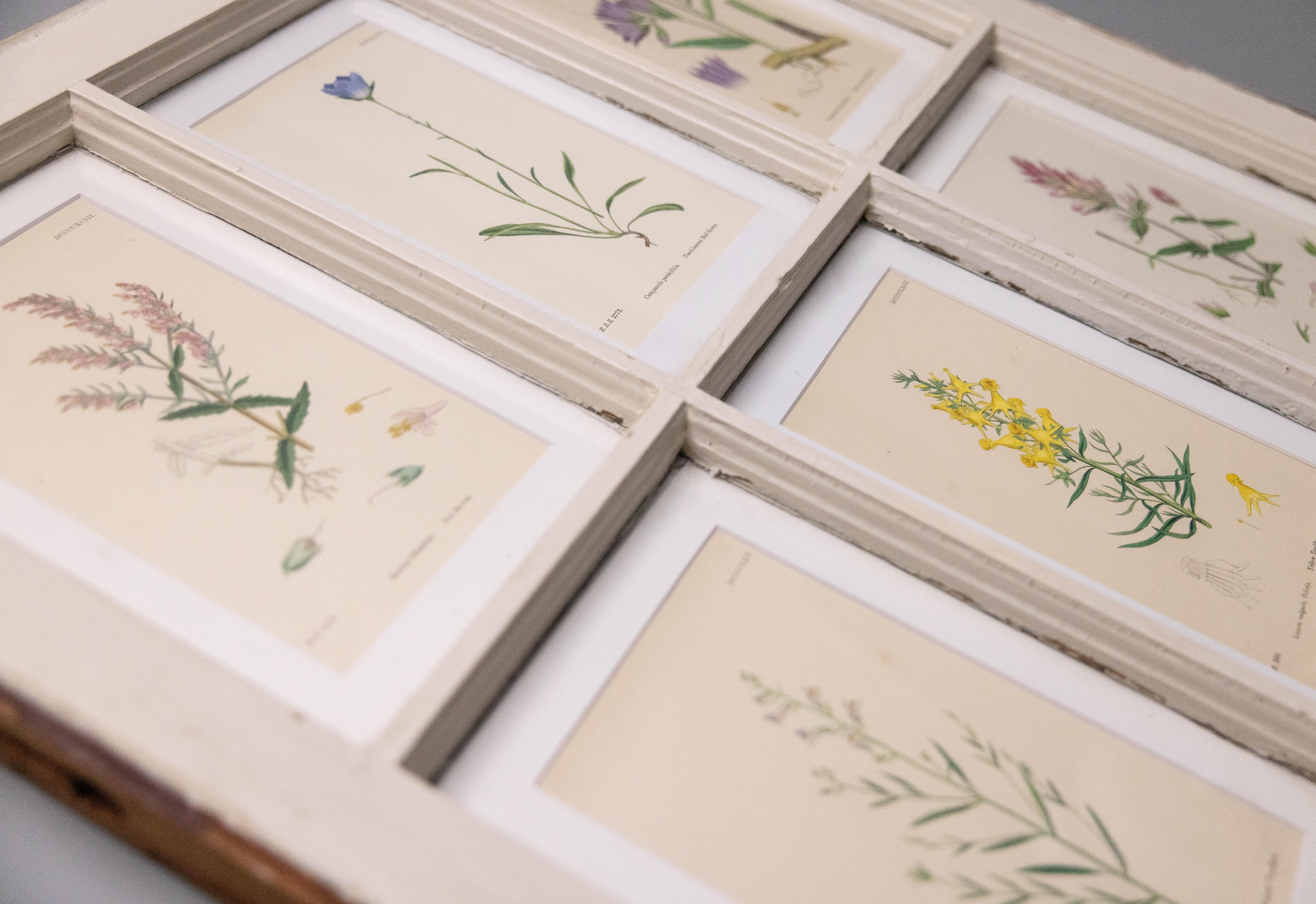 Antike Arts and Crafts-Fensterschärchen mit botanischen Pflanzen aus dem 19. Jahrhundert im Angebot 4