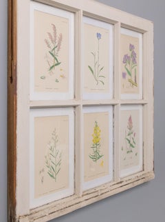 Antiguas hojas de ventana Arts and Crafts con botánicos del siglo XIX