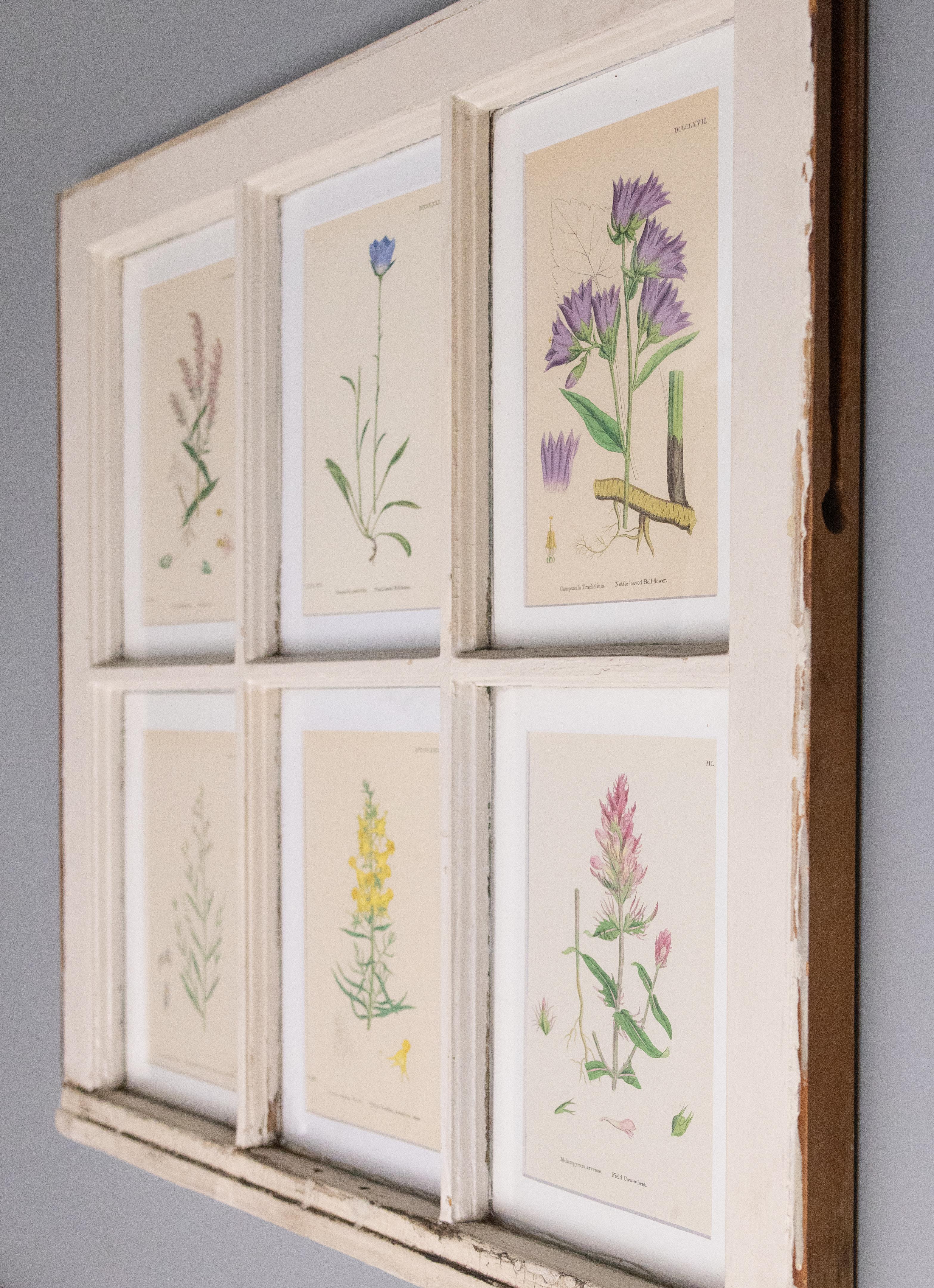 English Antique Arts and Crafts Window Sashes with 19th Century Botanicals For Sale