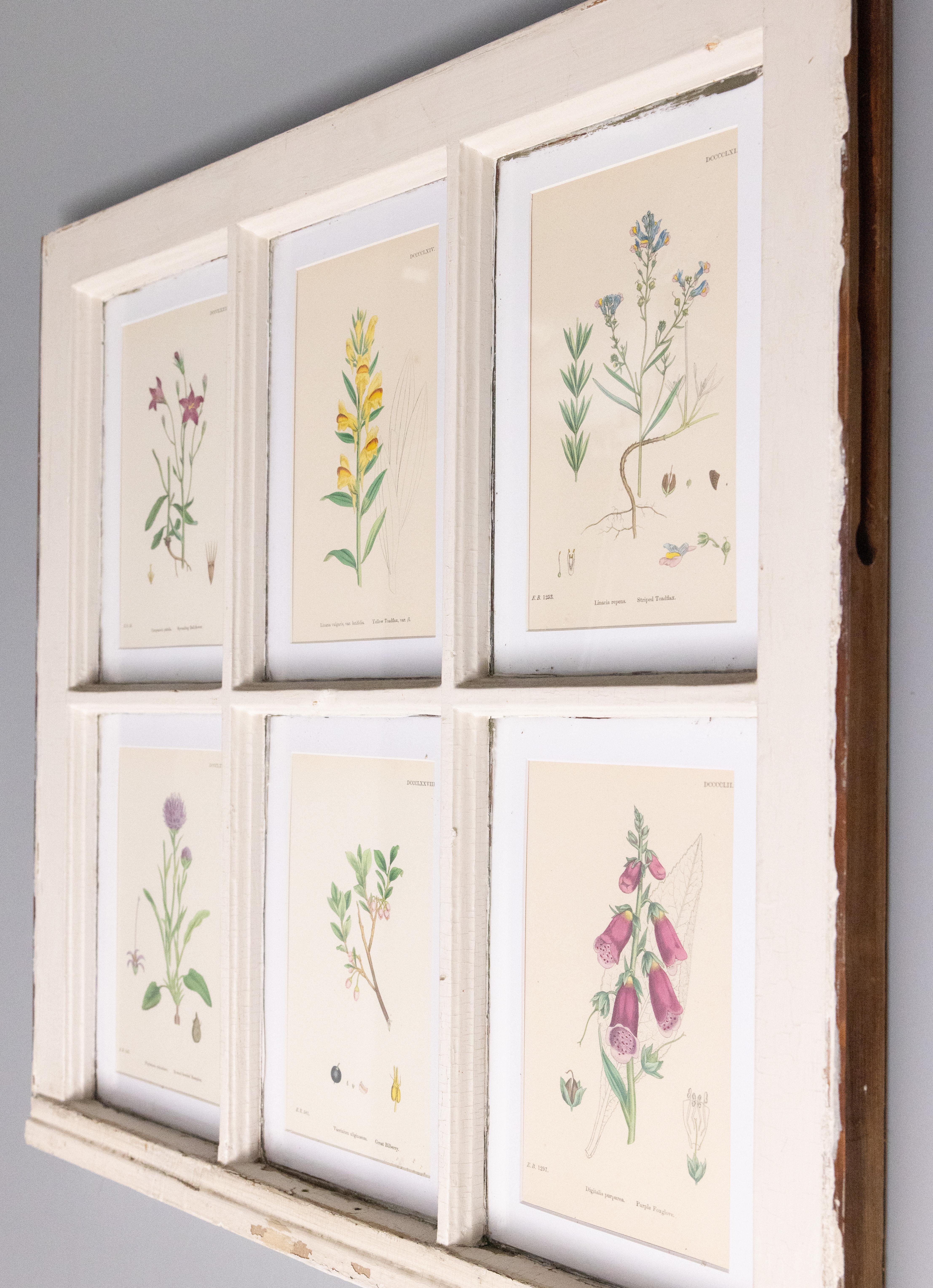 Anglais Assiettes de fenêtre anciennes Arts and Crafts avec plantes du 19ème siècle en vente