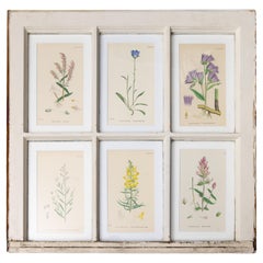 Antike Arts and Crafts-Fensterschärchen mit botanischen Pflanzen aus dem 19. Jahrhundert