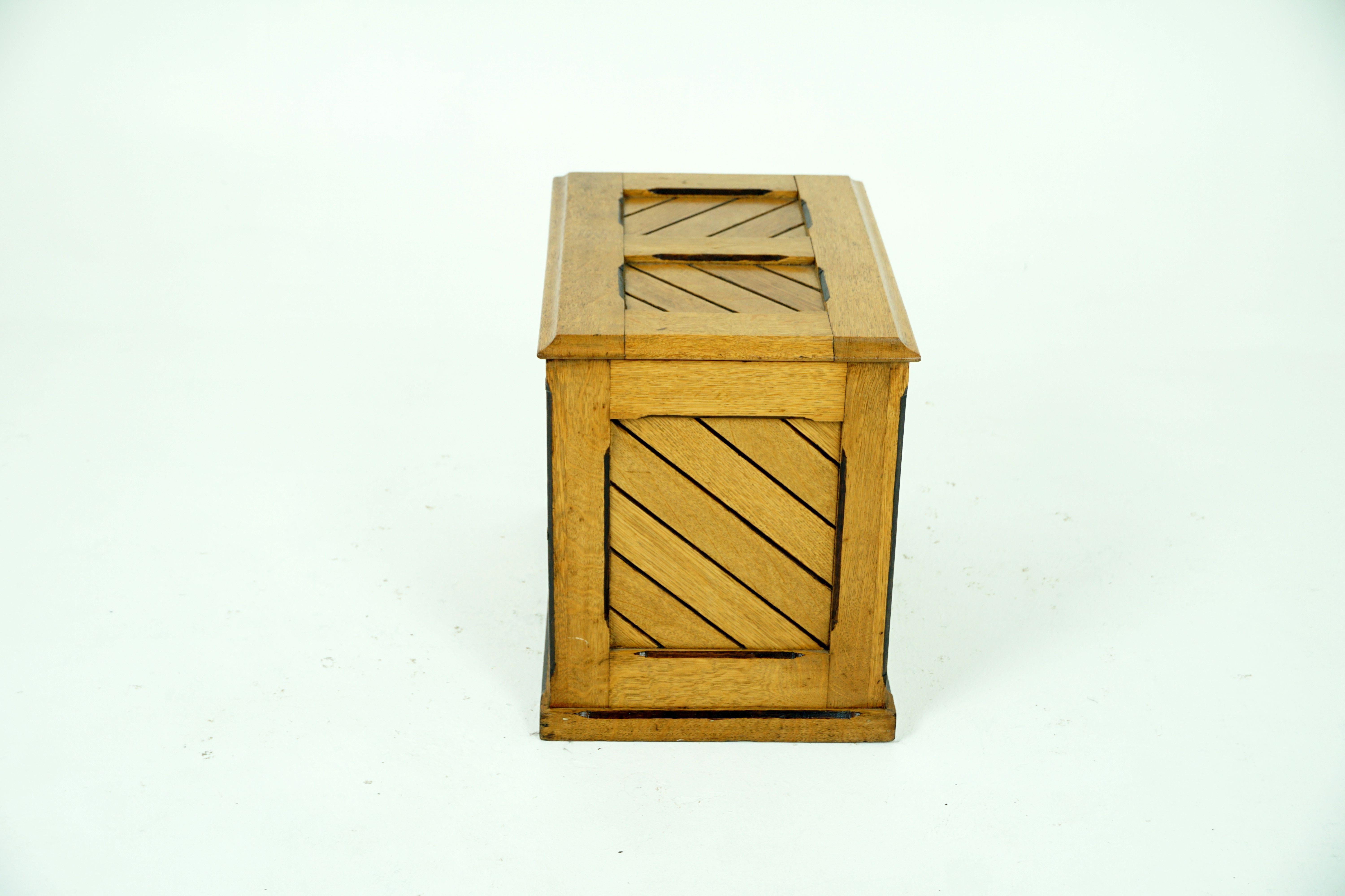 Scottish Antique Ash Trunk, Arts & Craft Log Box or Toy Box, Scotland 1900, B1873