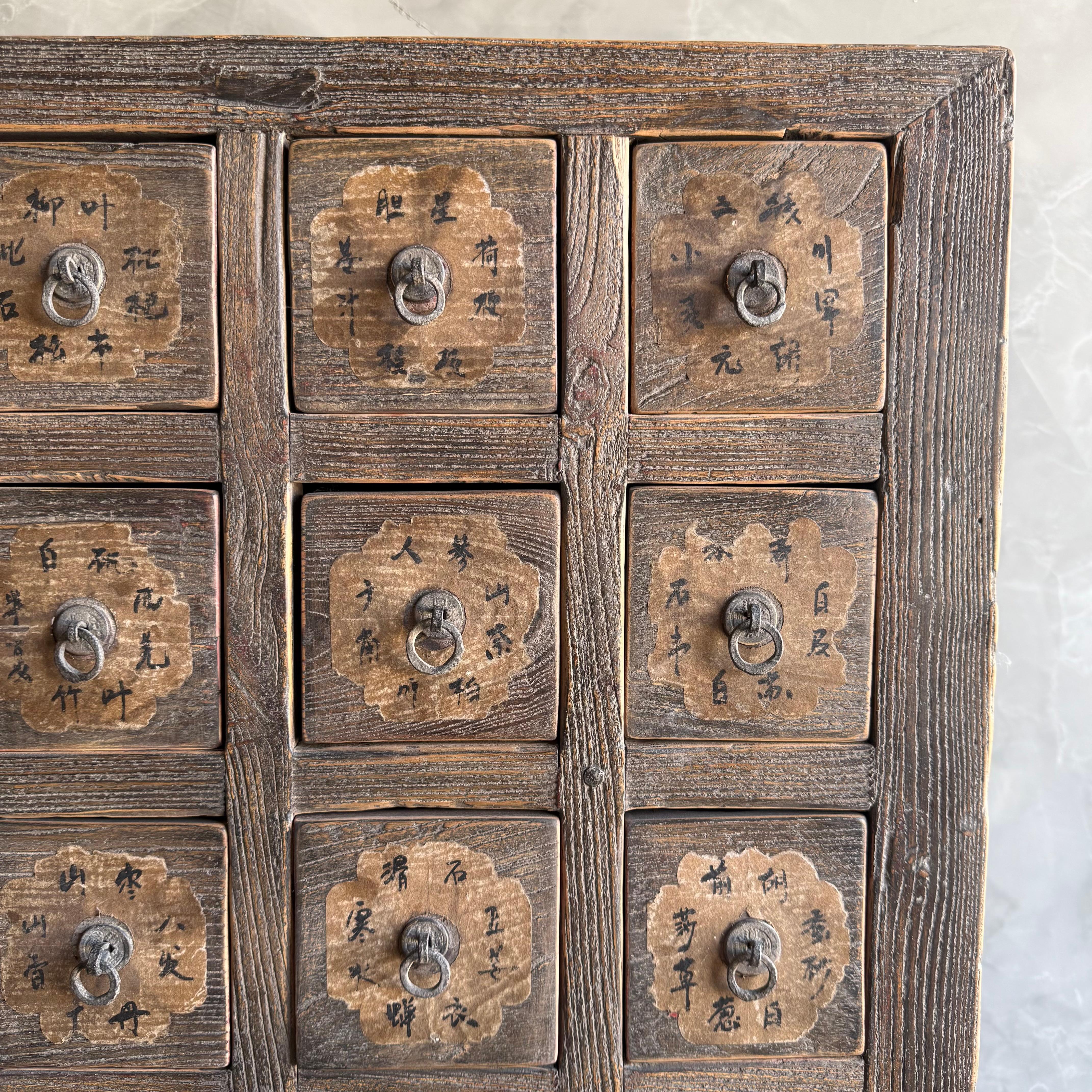 Antiker asiatischer Apothokryphenschrank mit Schubladen (Organische Moderne) im Angebot