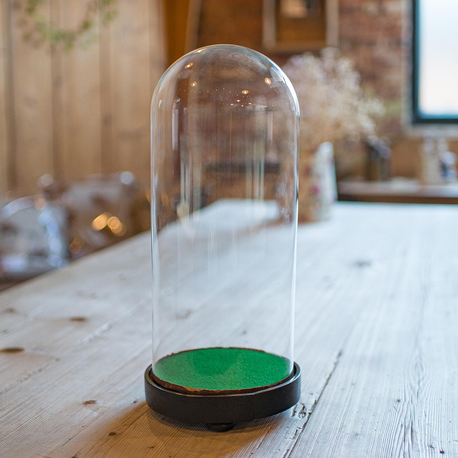 British Antique Astrolabium Clock Dome, English, Glass, Pine, Display Case, Victorian For Sale