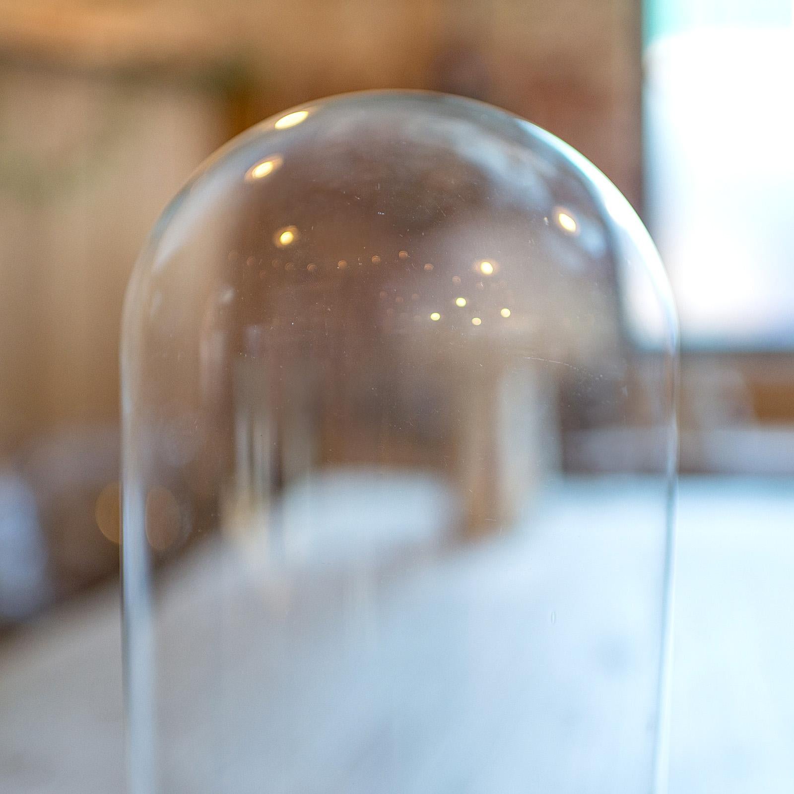 19th Century Antique Astrolabium Clock Dome, English, Glass, Pine, Display Case, Victorian For Sale