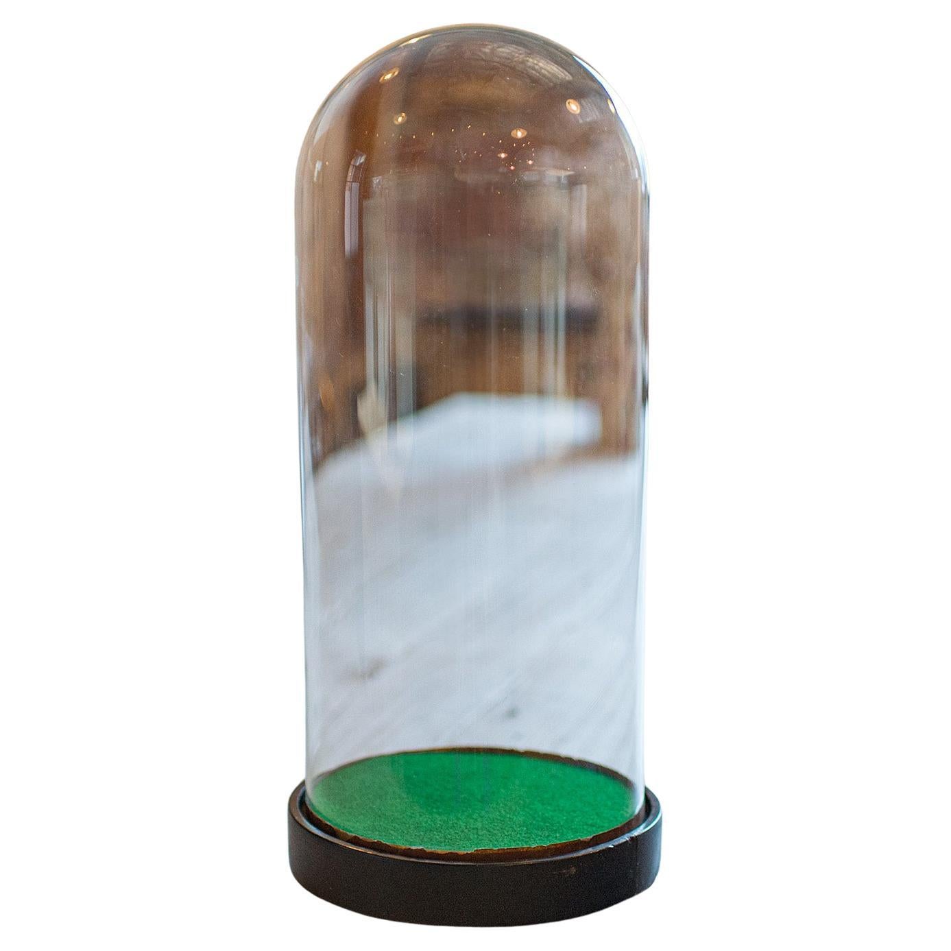 Antique Astrolabium Clock Dome, English, Glass, Pine, Display Case, Victorian For Sale
