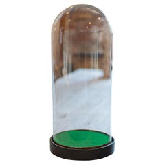 Dome antique d'horloge astrologique, anglais, verre, pin, vitrine, victorienne
